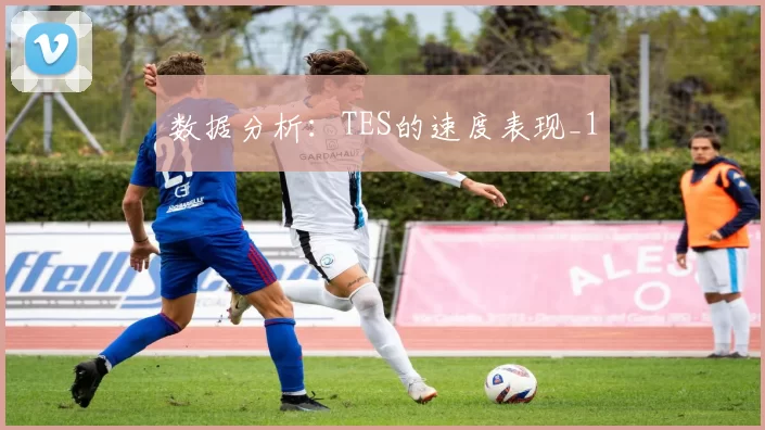 数据分析：TES的速度表现_1