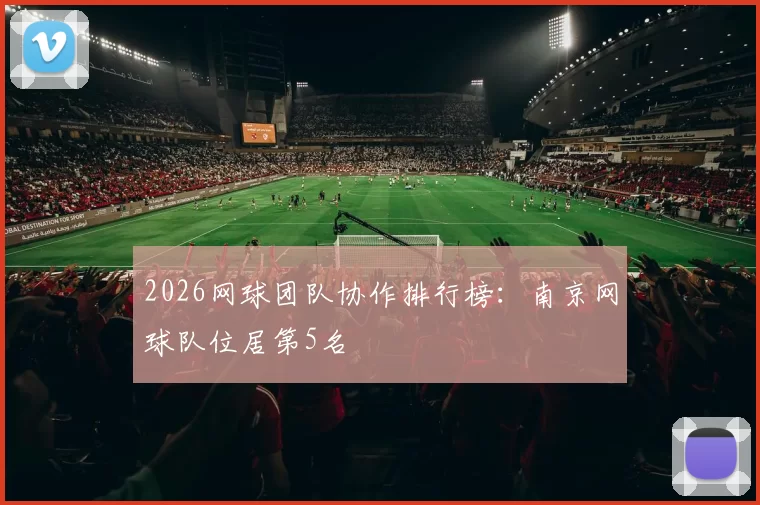 2026网球团队协作排行榜：南京网球队位居第5名
