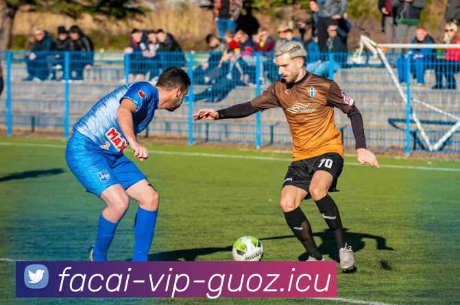 开云体育品牌故事