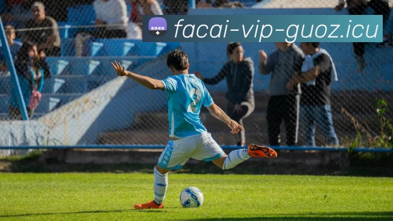 开云体育服务体系