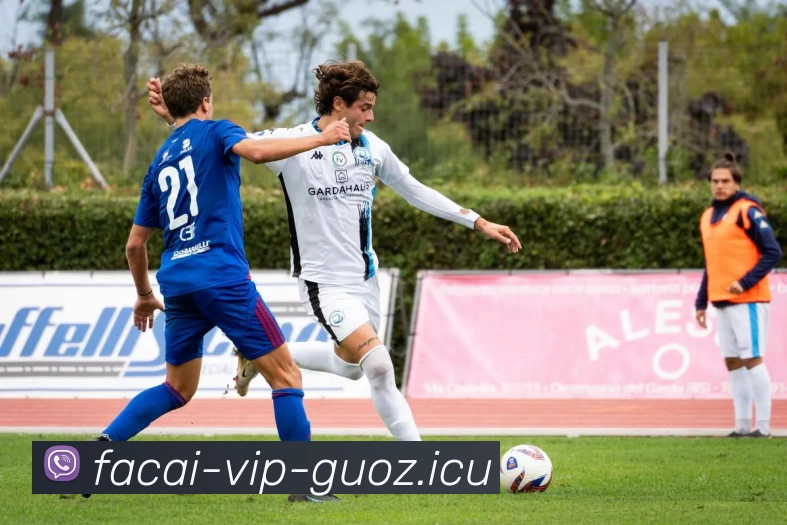 开云体育APP 体育赛事宣传图